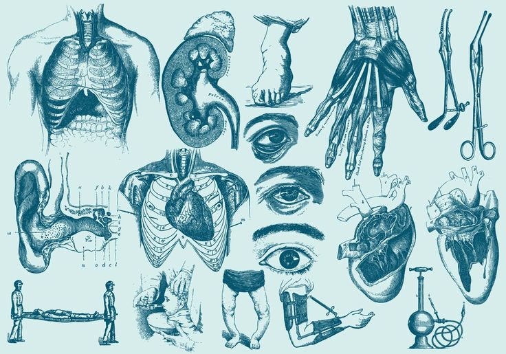 A Digital Organizer For Medical Reports